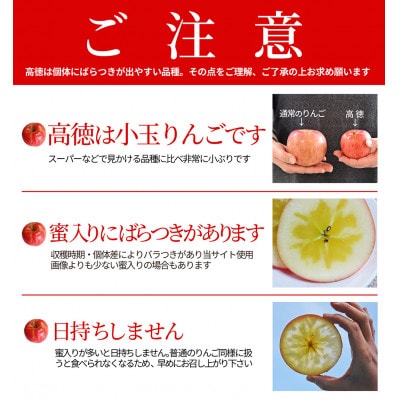蜜入りりんご 高徳 1kg(5～7玉) 山形県産 ギフトBOX入【令和7年産 先行受付】