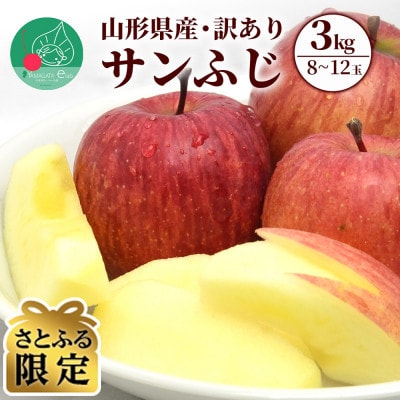 【さとふる限定】 山形県産 りんご 訳ありサンふじ 3kg(8～12玉前後)【令和7年産 先行予約】