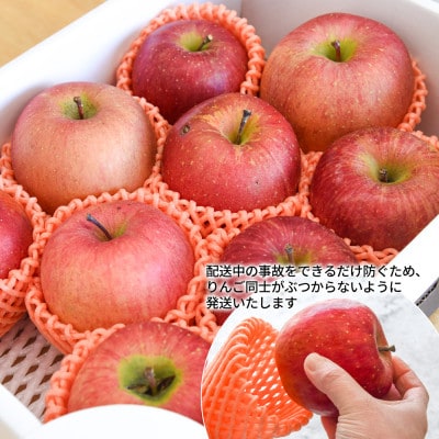 【さとふる限定】 山形県産 りんご 訳ありサンふじ 3kg(8～12玉前後)【令和7年産 先行予約】