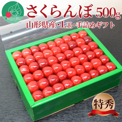 さくらんぼ(佐藤錦or紅秀峰)L玉500g 特秀品 手詰ギフト 山形県産 【令和8年度 先行予約】