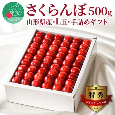 さくらんぼ(佐藤錦or紅秀峰) L玉500g 特秀品 手詰ギフト 山形県産 【令和9年度 先行予約】