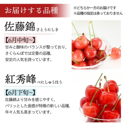 さくらんぼ(佐藤錦or紅秀峰)L玉500g 特秀品 手詰ギフト 山形県産 【令和8年度 先行予約】