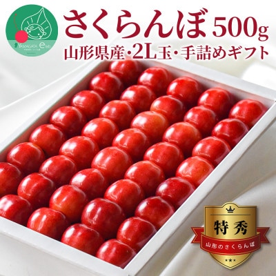 さくらんぼ (佐藤錦or紅秀峰)2L玉500g 特秀品 手詰め 山形県産 【令和9年度 先行予約】