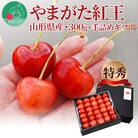 さくらんぼ やまがた紅王 300g 3L玉以上 大粒 特秀 手詰めギフト 山形県産 令和8年産 予約