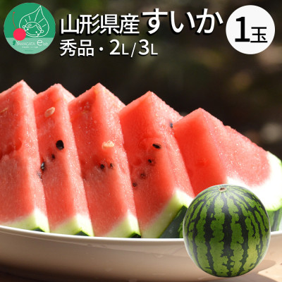 すいか 2L～3L(約7kg) 1玉 山形県産 ギフト用 【令和8年度産 先行予約】