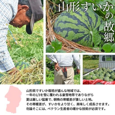 すいか 2L～3L(約7kg) 1玉 山形県産 ギフト用 【令和8年度産 先行予約】