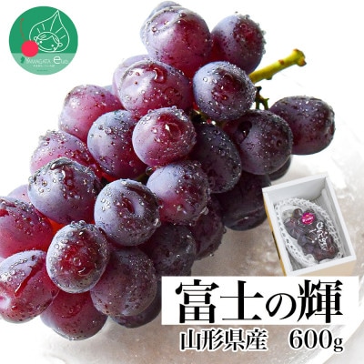 富士の輝 600g 1房 秀品 ギフト箱入り 山形県産【令和8年産 先行予約】