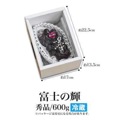 富士の輝 600g 1房 秀品 ギフト箱入り 山形県産【令和8年産 先行予約】