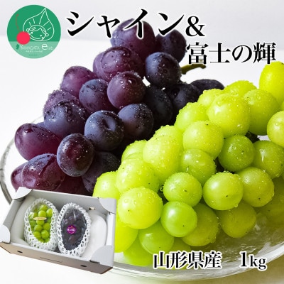 シャインマスカット&富士の輝 1kg 秀品 ギフト箱入り 山形県産【令和8年産 先行予約】