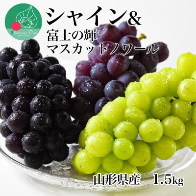 シャインマスカット&富士の輝&マスカットノワール 1.5kg 秀品 山形県産【令和8年産 先行予約】
