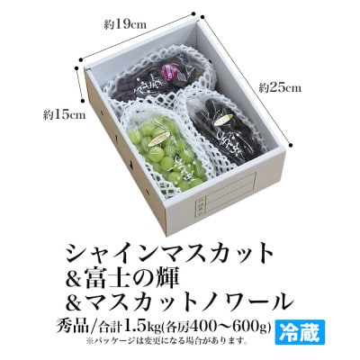 シャインマスカット&富士の輝&マスカットノワール 1.5kg 秀品 山形県産【令和8年産 先行予約】