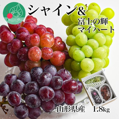 シャインマスカット&富士の輝&マイハート 1.8kg 秀品 ギフト箱入り【令和8年産 先行予約】