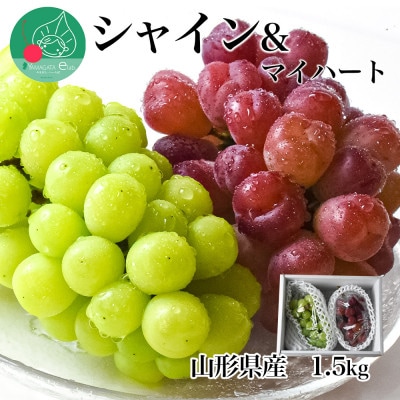 シャインマスカット&マイハート 1.5kg 秀品 ギフト箱入り【令和8年産 先行予約】
