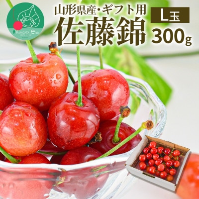さくらんぼ 佐藤錦 L玉 300g 秀品 ギフト箱入り 山形県産【令和8年産 先行受付】