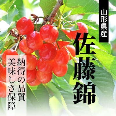 さくらんぼ 佐藤錦 L玉 300g 秀品 ギフト箱入り 山形県産【令和8年産 先行受付】