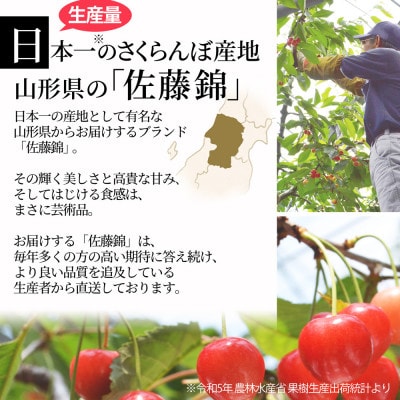 さくらんぼ 佐藤錦 L玉 300g 秀品 ギフト箱入り 山形県産【令和8年産 先行受付】