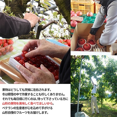 【発送月固定定期便】山形の名産フルーツを楽しむコース(さくらんぼ、ラ・フランス、りんご)全3回
