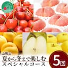 【発送月固定定期便】山形の夏から冬まで楽しむスペシャルコース(佐藤錦・白桃・黄桃・洋梨・林檎)全5回