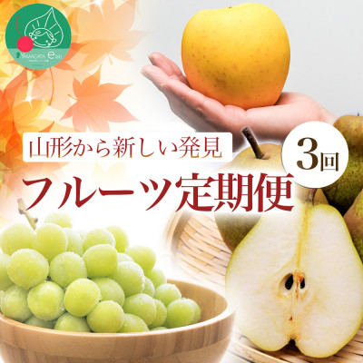 【発送月固定定期便】山形から新しい発見フルーツ(シャインマスカット、洋梨、はるかりんご)全3回
