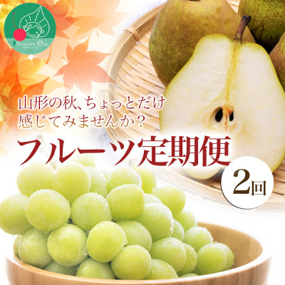 【発送月固定定期便】山形の秋、ちょっとだけ感じてみませんか?フルーツ(シャイン、洋梨)全2回