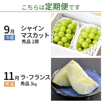 【発送月固定定期便】山形の秋、ちょっとだけ感じてみませんか?フルーツ(シャイン、洋梨)全2回