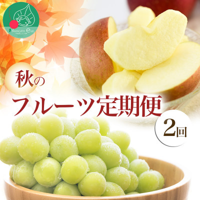 【発送月固定定期便】秋のフルーツ(シャインマスカット、サンふじりんご)全2回