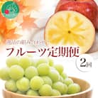 【発送月固定定期便】逸品の組み合わせ!フルーツ(シャインマスカット、高徳りんご)全2回