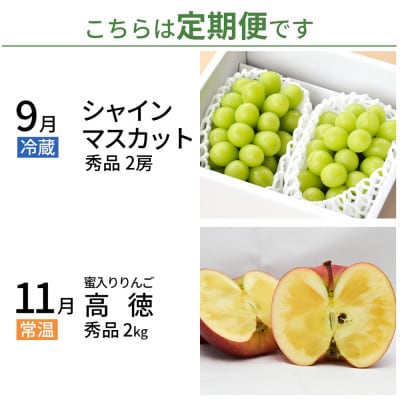 【発送月固定定期便】逸品の組み合わせ!フルーツ(シャインマスカット、高徳りんご)全2回