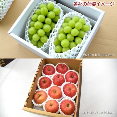 【発送月固定定期便】逸品の組み合わせ!フルーツ(シャインマスカット、高徳りんご)全2回
