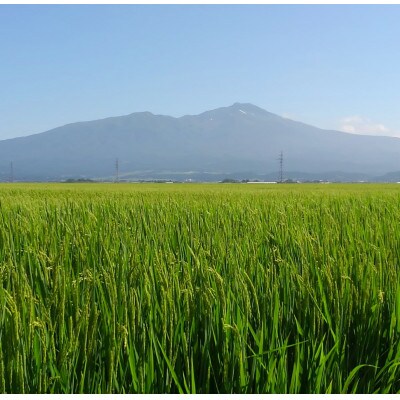 ☆令和6年産☆　山形県産ひとめぼれ10kg(5kg×2袋)