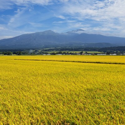 山形県産米3銘柄  6kgセット(つや姫2kg、雪若丸2kg、はえぬき2kg)