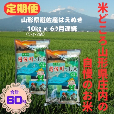 【毎月定期便】山形県産はえぬき10kg(5kg×2袋)全6回