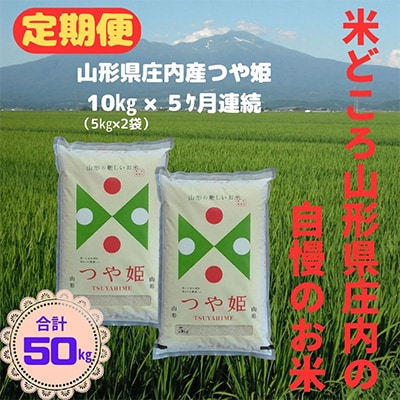 2024年4月発送開始『定期便』庄内産つや姫10kg[5kg×2袋] 全5回