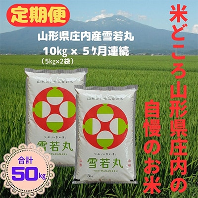 2024年7月発送開始『定期便』庄内産雪若丸10kg[5kg×2袋] 全5回
