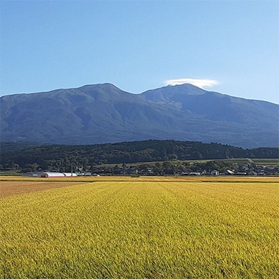 2024年7月発送開始『定期便』庄内産雪若丸10kg[5kg×2袋] 全5回