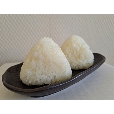 2024年6月発送開始『定期便』山形県産ひとめぼれ10kg[5kg×2袋] 全5回