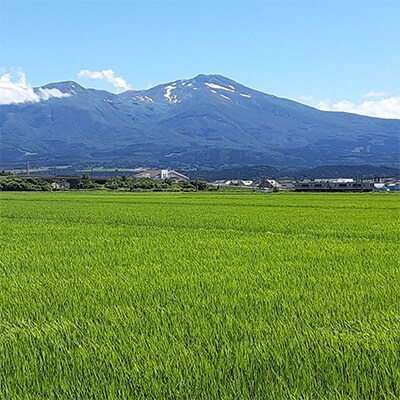 2023年10月発送開始『定期便』山形県産米食べ比べ10kg(5kg×2袋)全5回