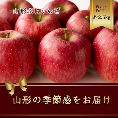 山形ふじりんご　約2.5kg　7玉～9玉【2025年発送先行予約】