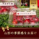 やまがた紅王 さくらんぼ 2L 200g×2パック入 約50粒 秀品【2026年発送先行予約】