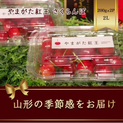 やまがた紅王 さくらんぼ 2L 200g×2パック入 約50粒【2025年発送先行予約】