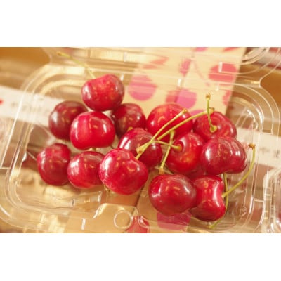 やまがた紅王 さくらんぼ 2L 200g×2パック入 約50粒【2025年発送先行予約】