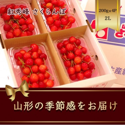 紅秀峰 さくらんぼ 2L 200g×4パック入 【2025年発送先行予約】