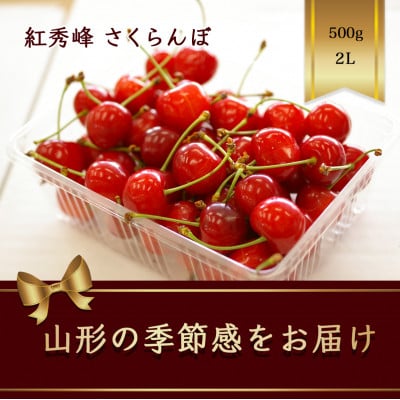 紅秀峰 さくらんぼ 2L 500g×1パック入【2025年発送先行予約】