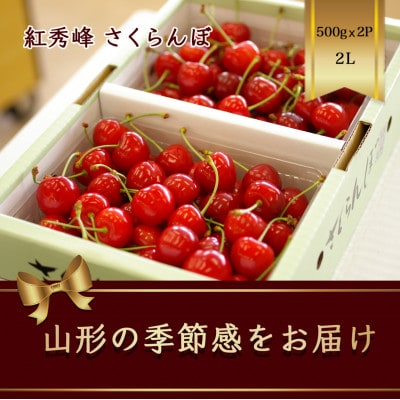 紅秀峰 さくらんぼ 2L 500g×2パック入【2025年発送先行予約】