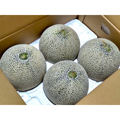 山形県産メロン 3玉入～5玉入 約5kg 緑肉 品種の指定はできません【2026年発送】