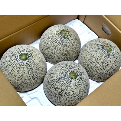 山形県産メロン 3玉入～5玉入 5kg 赤肉 品種の指定はできません【2026年発送】