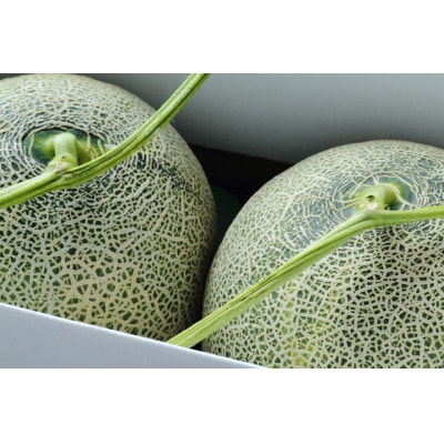 庄内マスクメロン 2玉で約2.6kg 緑肉【2025年発送先行予約】