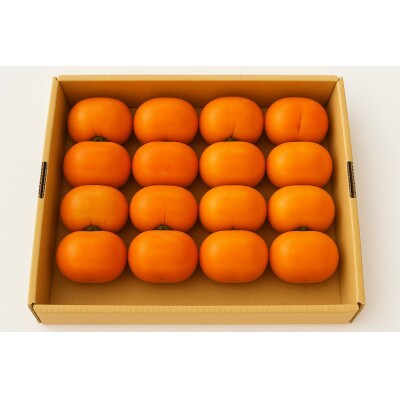 庄内柿 種無しで食べやすい 3.5kg 14～18玉【令和8年発送先行予約】