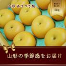あきづき梨　秋月　約8玉～約14玉　約5kg【令和7年発送先行予約】