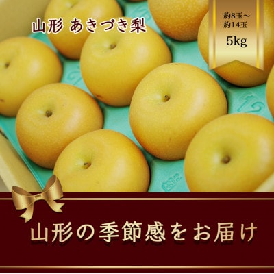 あきづき梨　秋月　約8玉～約14玉　約5kg【令和7年発送先行予約】